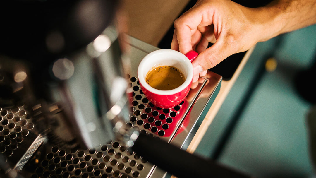 Ce este cafeaua de specialitate?