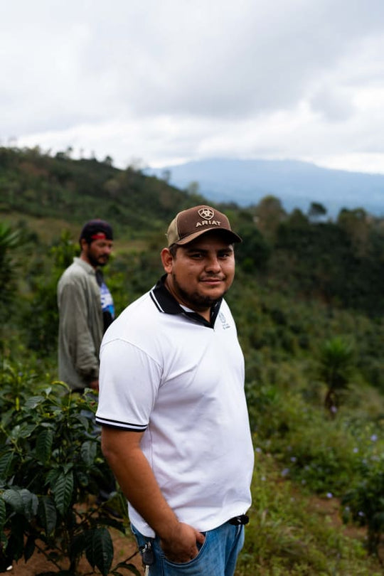 ferma de cafea a lui mario mejia din honduras
