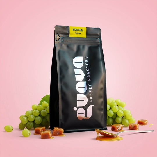 Origin Explorer Bundle