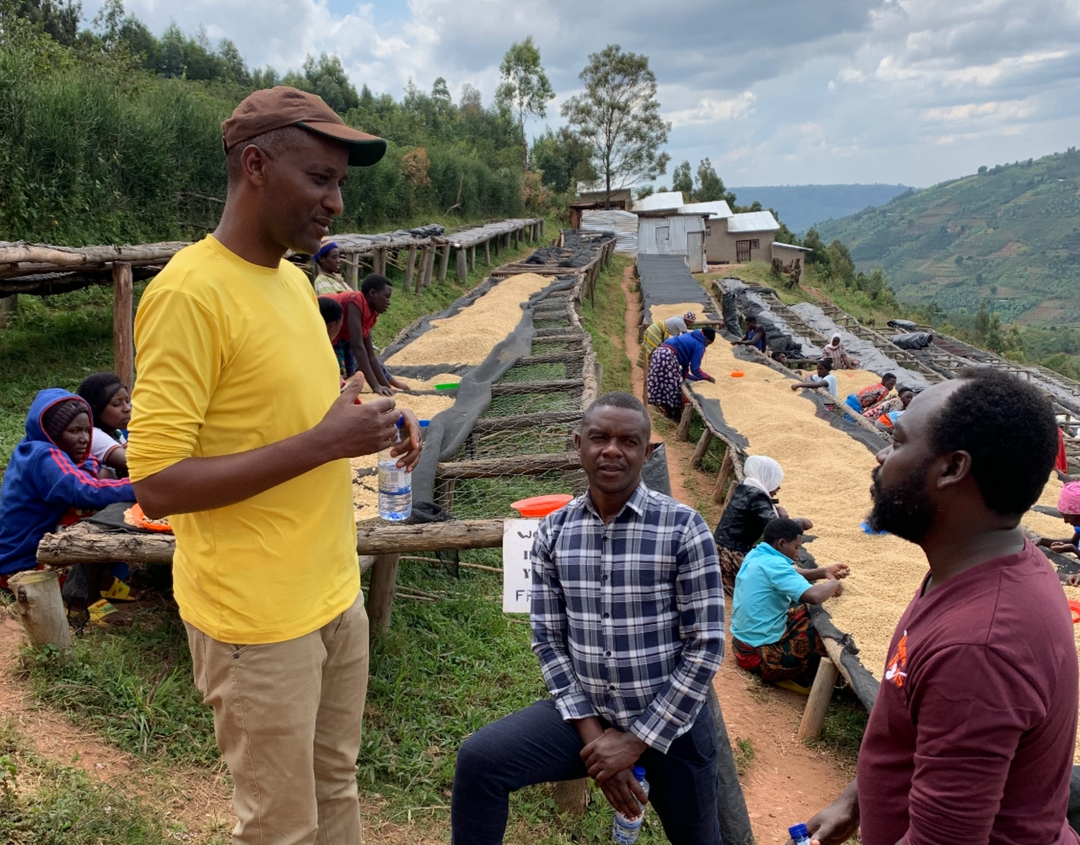 ferma de cafea taba in rwanda fermerii de cafea discutand