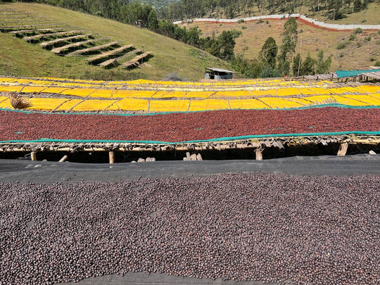 Ethiopia - Bombe