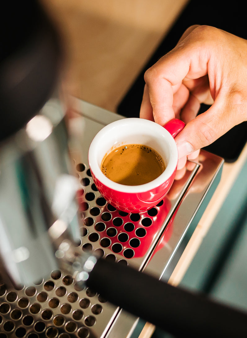 shot de cafea espresso guava coffee roasters