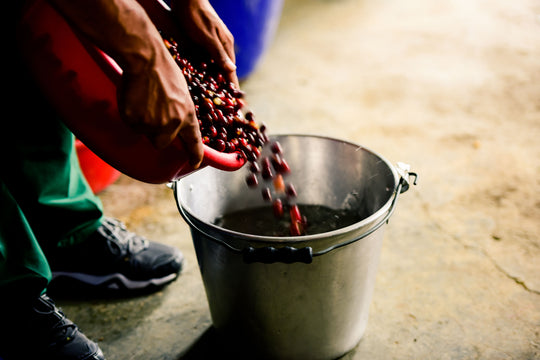 Colombia - Sugar Cane Decaf